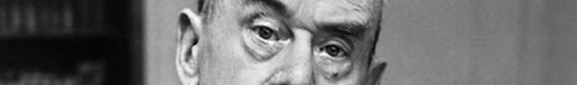 Il futuro dell’Europa e il dilemma di Thomas Mann: rapporto Ucid