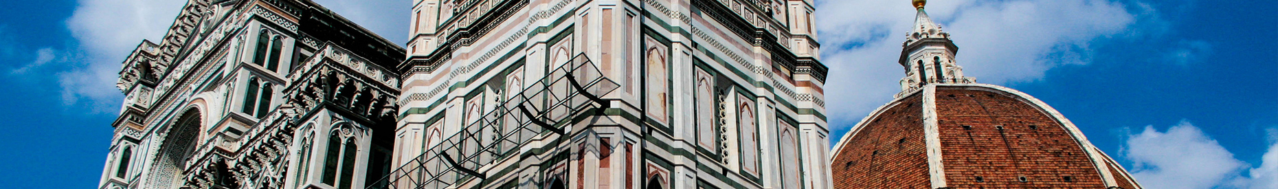 Organi associazione